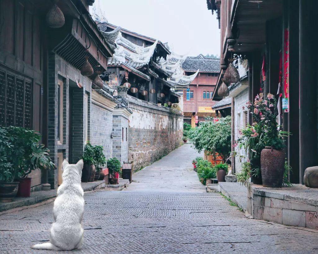 中土世界暗影魔多