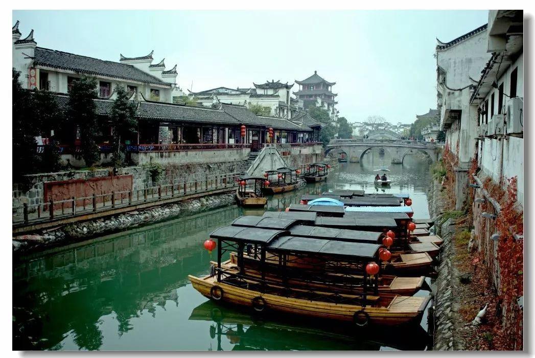 张庆鹏:每一个球员都值得掌声,中国篮球需要不抛弃不放弃